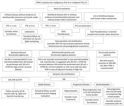 Differentiated Thyroid Cancer, From Active Surveillance to Advanced Therapy: Toward a Personalized Medicine